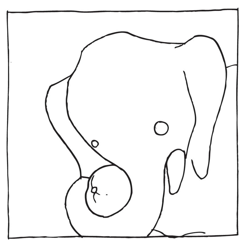 Elephant Pumpkin